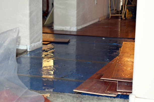 Professional Water Damage technician working in Athens, IL